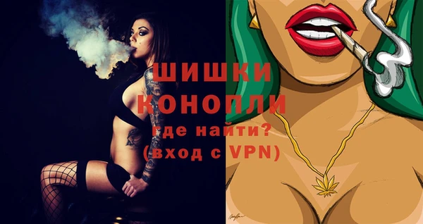 гашик Богданович