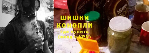 гашик Богданович