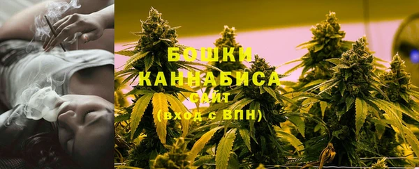 гашик Богданович