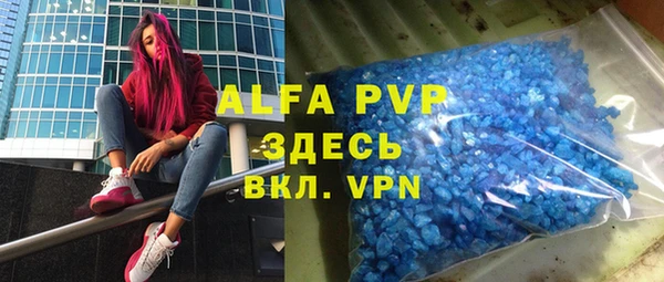 гашик Богданович