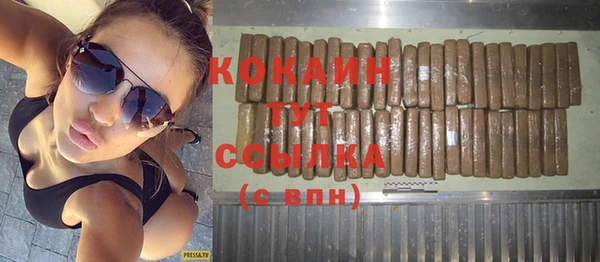гашик Богданович