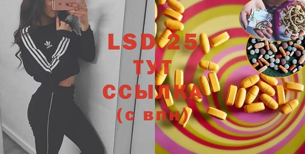 гашик Богданович