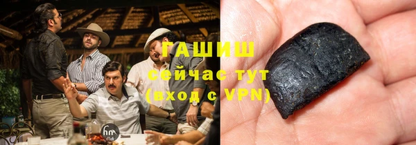 гашик Богданович