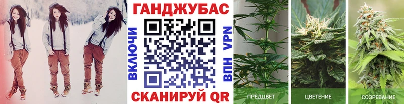 Шишки марихуана планчик  купить наркоту  Берёзовка 
